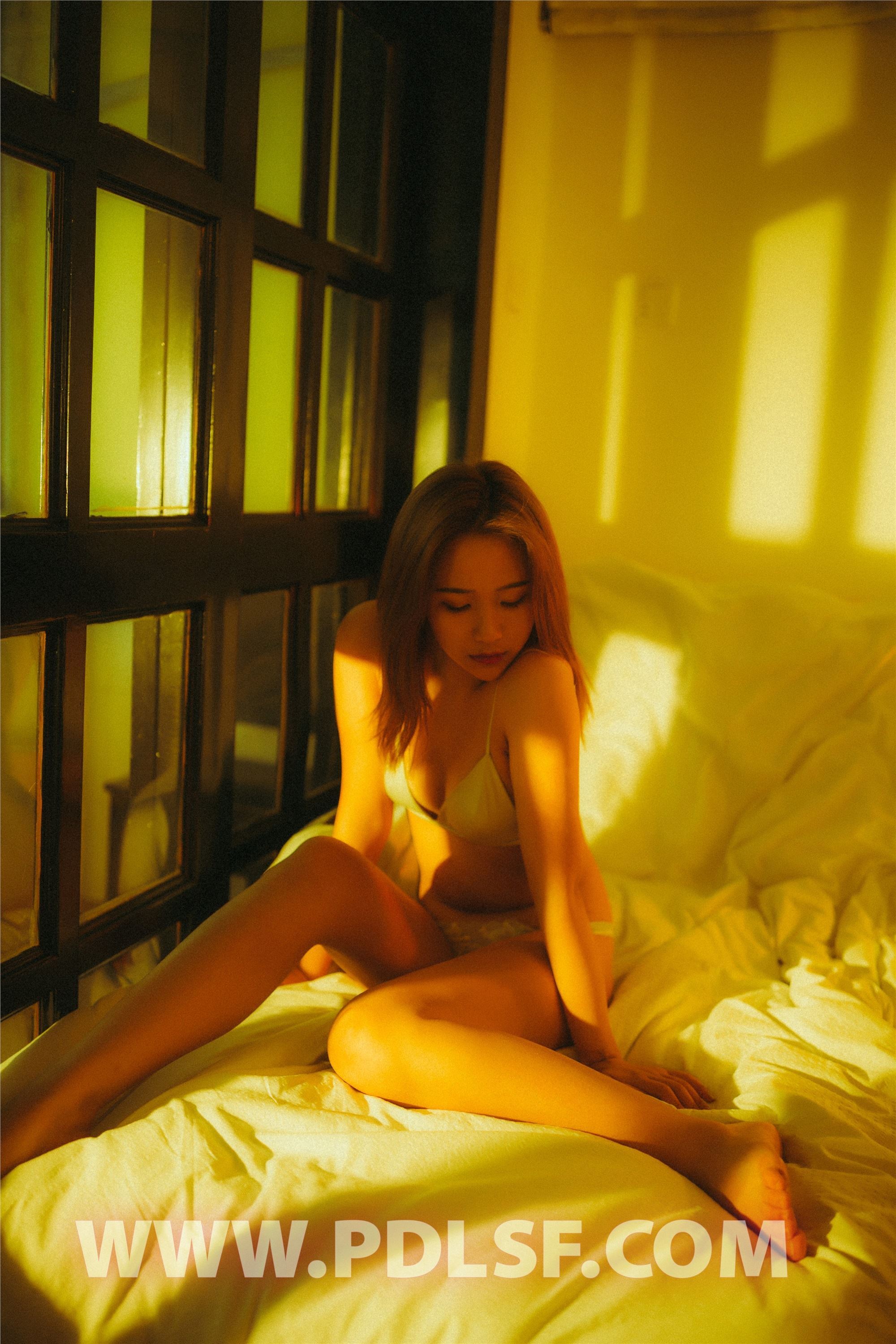 PDL潘多拉 2020.04.15 专辑No.286